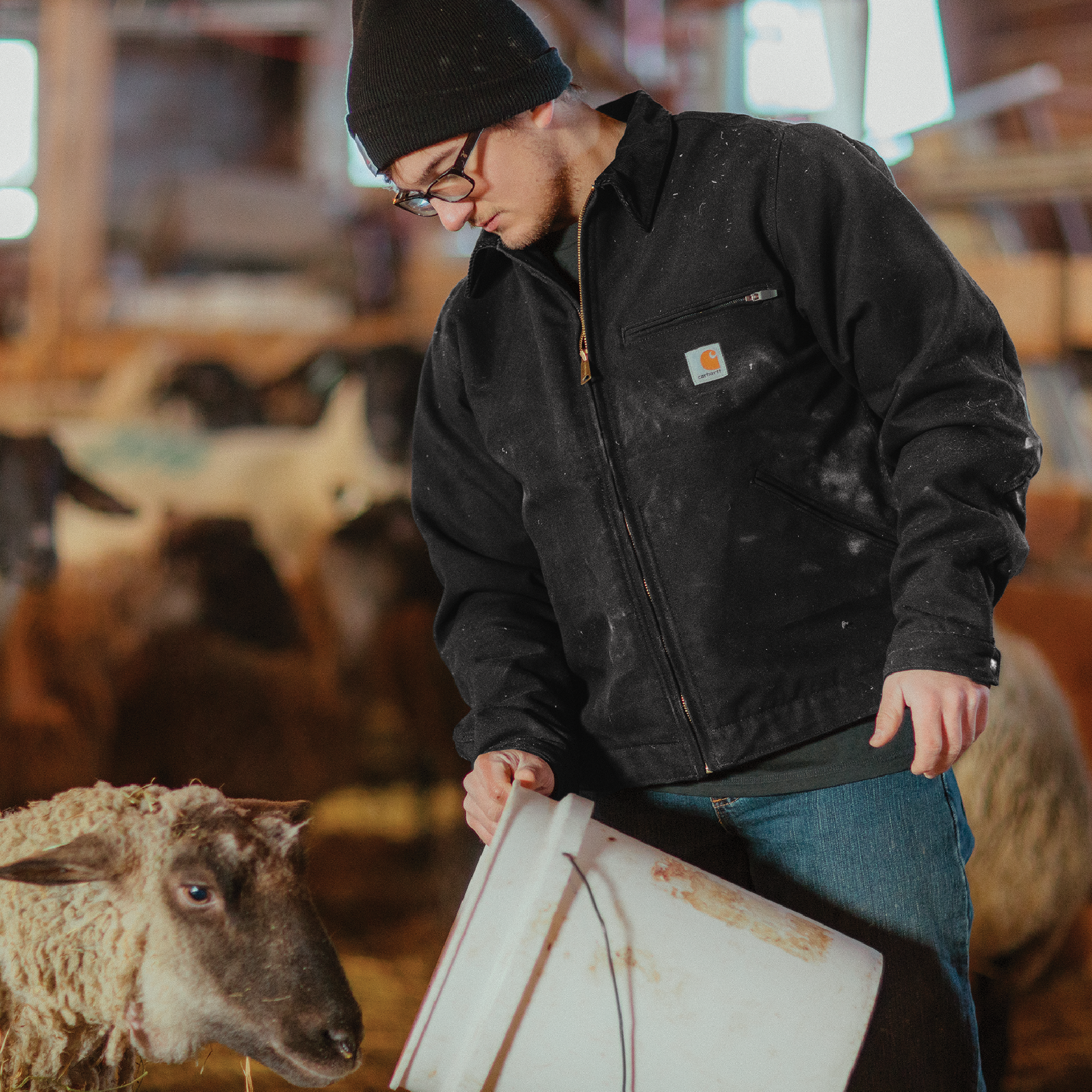 Carhartt® Duck Detroit Jacket